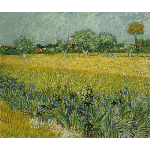 붓꽃이 있는 아를르 풍경 [View of  Arles with Irises in the F