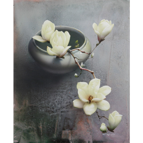 목련 . Magnolia