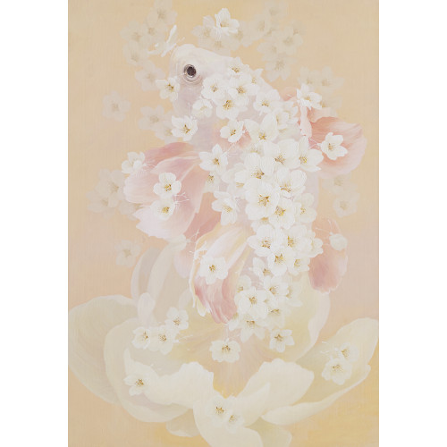 몽어(夢.魚.)