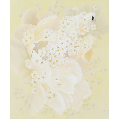 몽어(夢.魚.)
