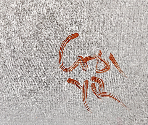 비상