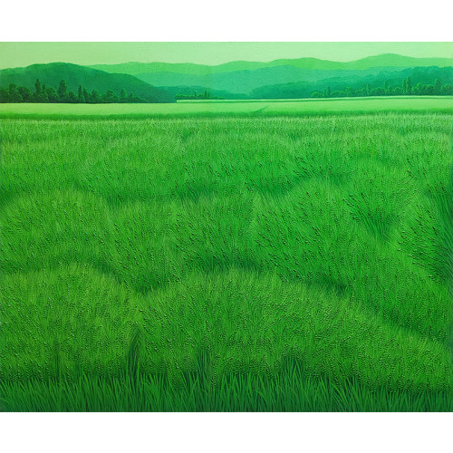 청맥 (청보리밭)