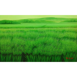 * 청 보리밭