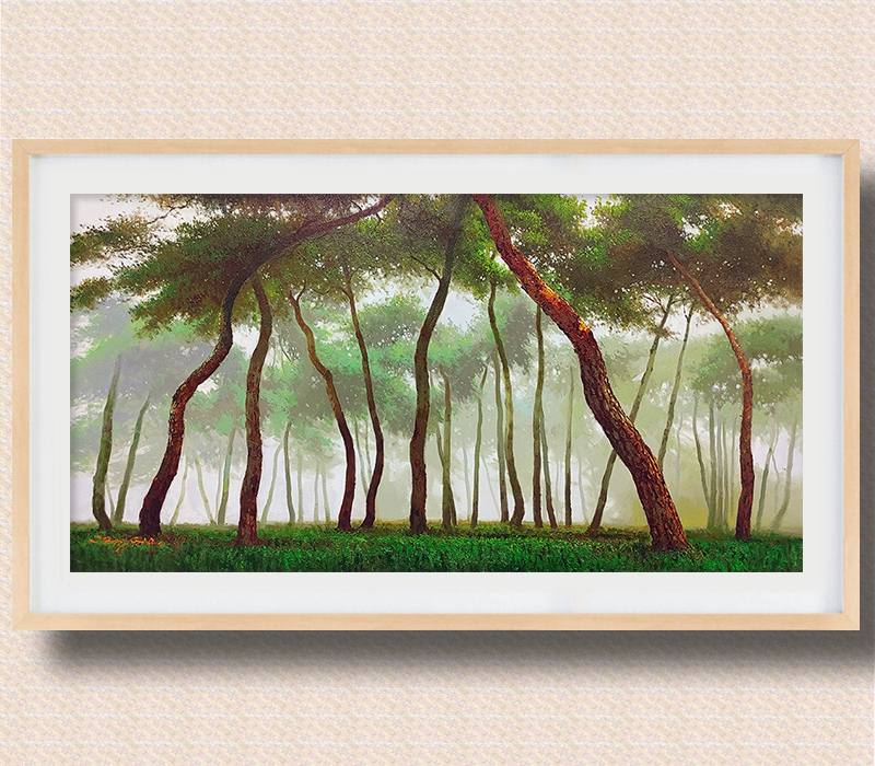 소나무 숲