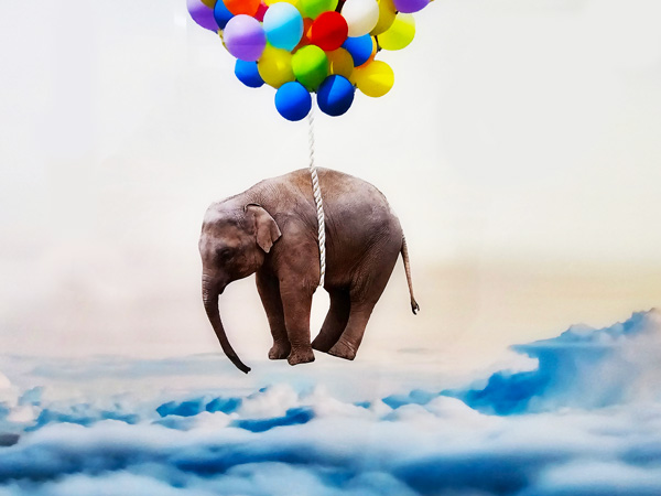 Elephant above the Clouds