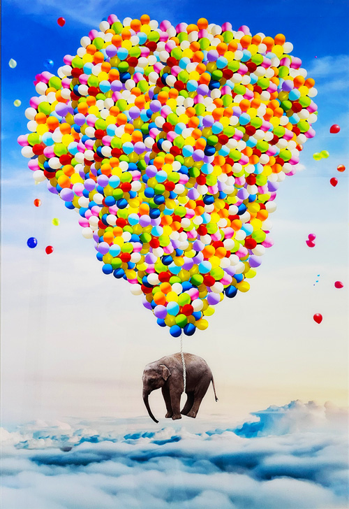 Elephant above the Clouds